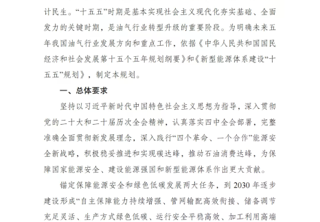 国家发展改革委 国家能源局关于印发《石油天然气发展“十五五”规划》的通知